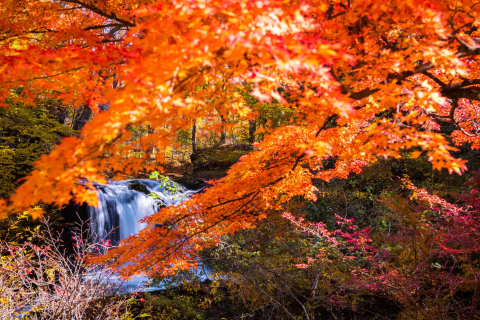 Mt. Fuji in autumn – best season to visit Mt. Fuji