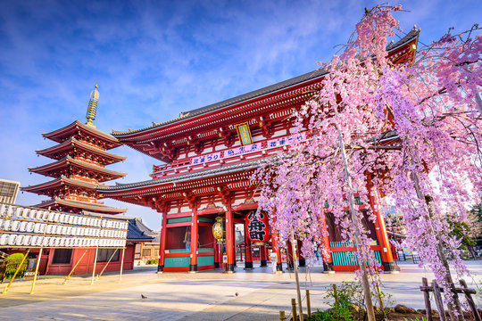 Asakusa’s Sensoji Temple with its iconic Kaminarimon gate and traditional lantern.