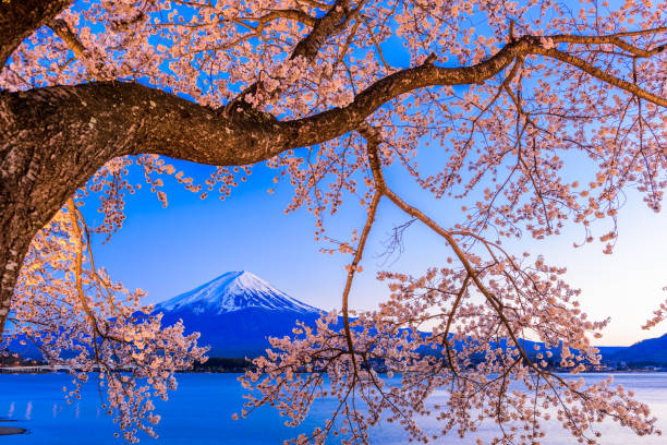 Kawaguchi Lake Mt. Fuji in spring – best season to visit Mt. Fuji